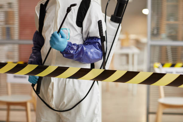 Professional Sewage Cleanup technician working in Salvo, NC